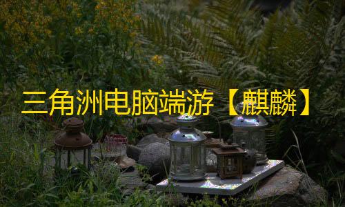 三角洲电脑端游【麒麟】辅助