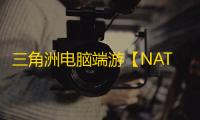 三角洲电脑端游【NATA】辅助