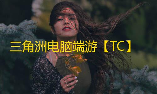 三角洲电脑端游【TC】辅助